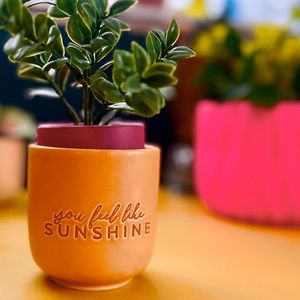 Small Ceramic ‘You Feel Like Sunshine’ Planter